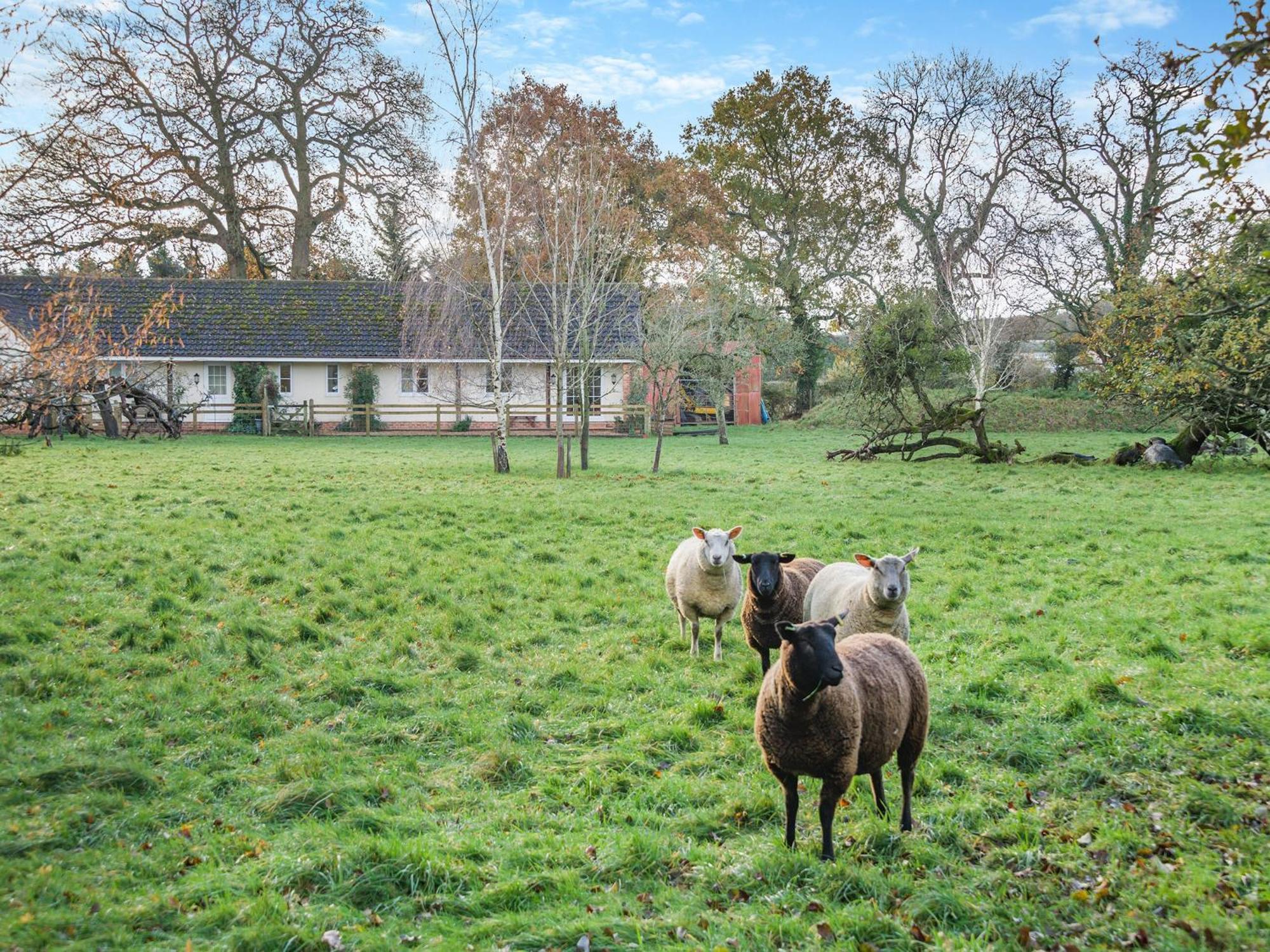 Holiday home Paddock Barn North Nibley